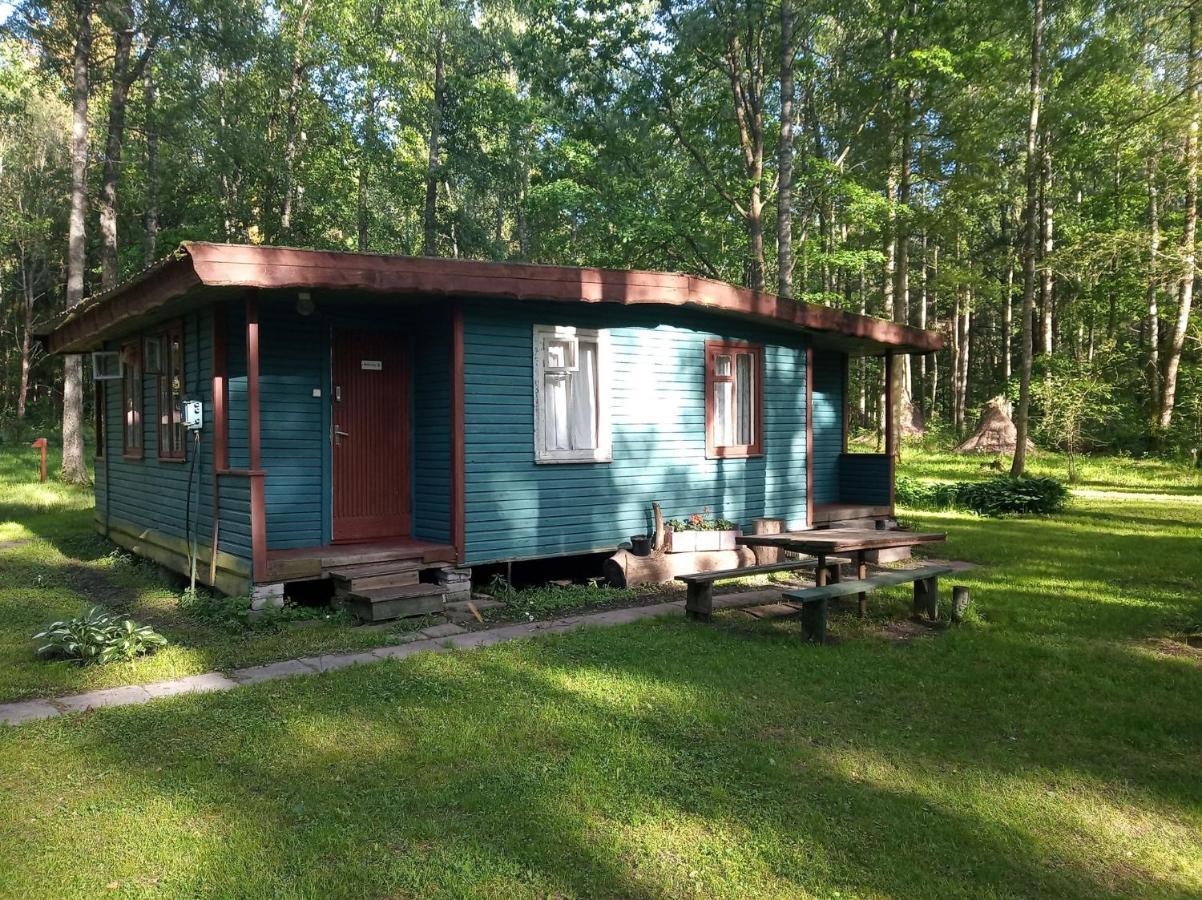Asmonu Poilsiaviete Villa Kinty Bagian luar foto