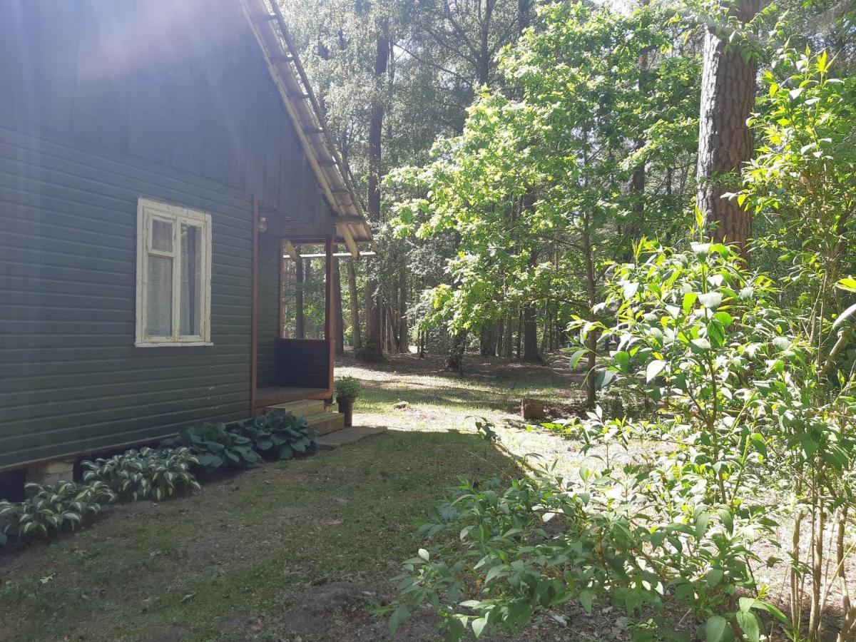 Asmonu Poilsiaviete Villa Kinty Bagian luar foto